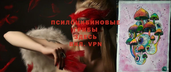 ПСИЛОЦИБИНОВЫЕ ГРИБЫ Алексеевка