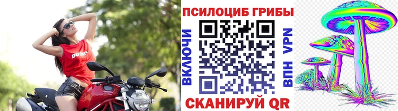 Псилоцибиновые грибы Cubensis  Чистополь 
